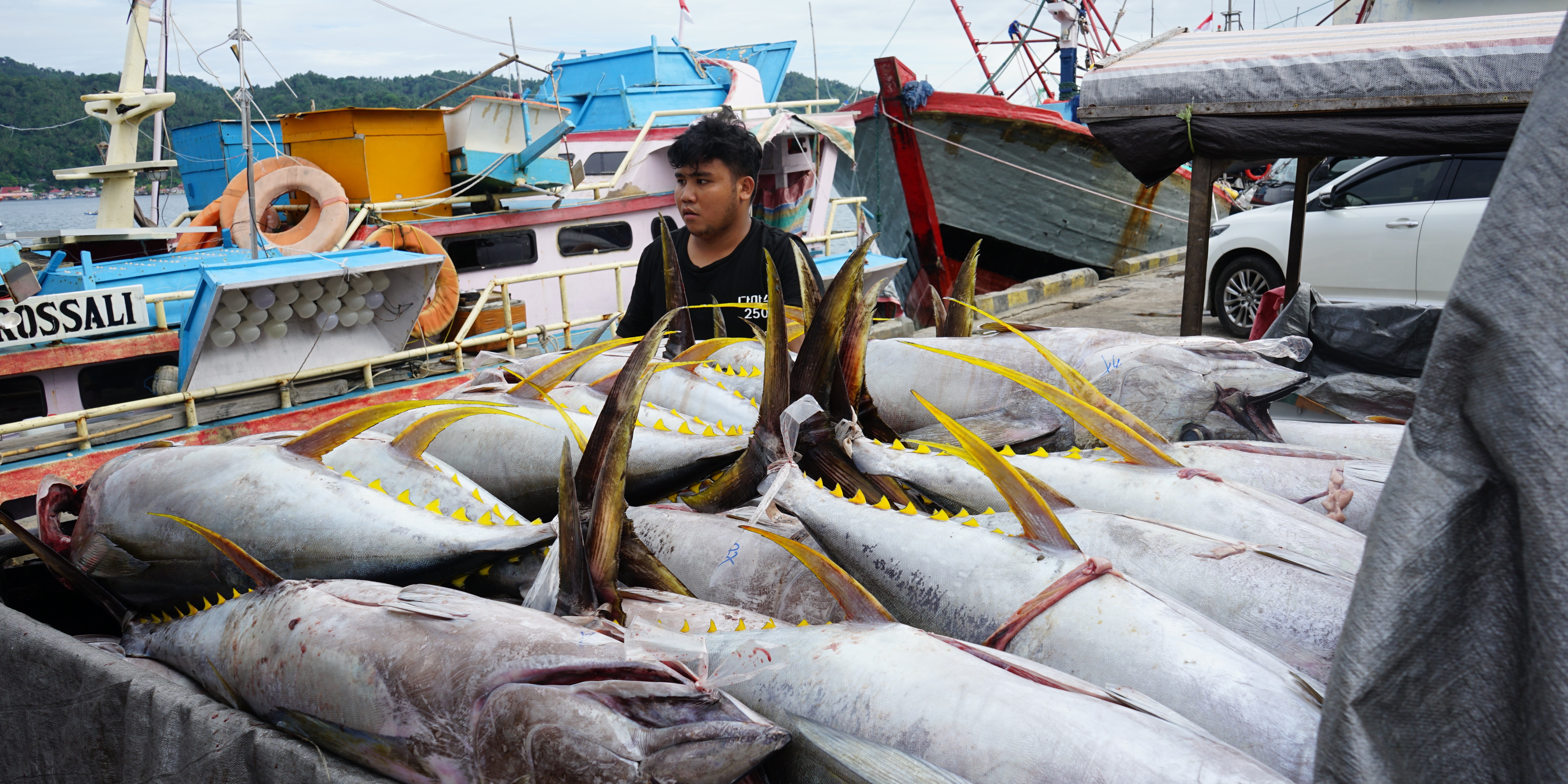 Mengenal Trade Measures, Instrumen Ampuh Pemberantasan IUU Fishing melalui Mekanisme Perdagangan Internasional
